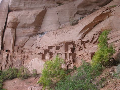 Natural Resources At Navajo National Monument U S National Park Service
