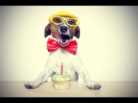 Image Joyeux Anniversaire Drole