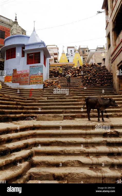 Firewood Stored On The Burning Ghats At Varanasi India Stock Photo Alamy