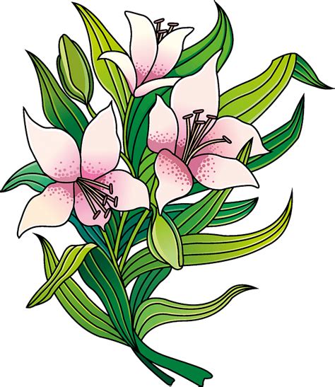 Lilies Clipart Free Download Transparent Png Creazilla