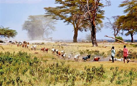 The Maasai Mara Game Reserves Micato Safaris