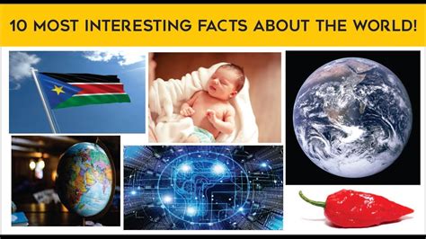 10 Most Interesting Facts About The World Youtube