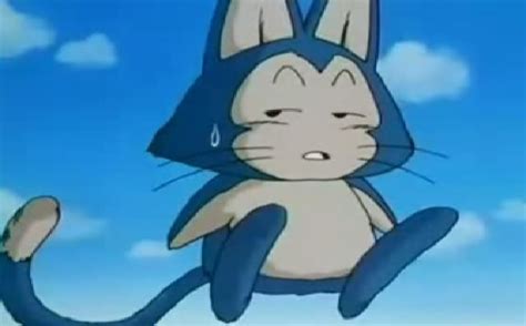 Check spelling or type a new query. Puar | Dragonballz Wiki | FANDOM powered by Wikia