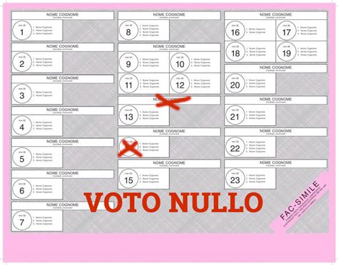 Elezioni 2018 Il Fac Simile Della Scheda E Le Istruzioni Per Il Voto