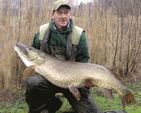 Top 10 Stories From 2014 No1 46 Lb 11 Oz English Record Pike