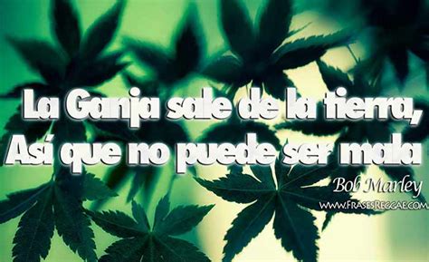 Cannabis is a standoff between a drug and a medicine. Las 85 mejores Frases de Bob Marley