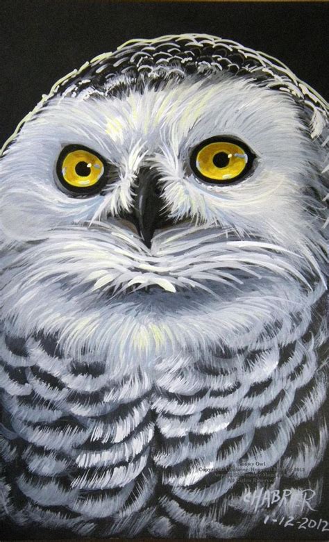 Snowy Owl Snowy Owl Art Owl Snowy Owl