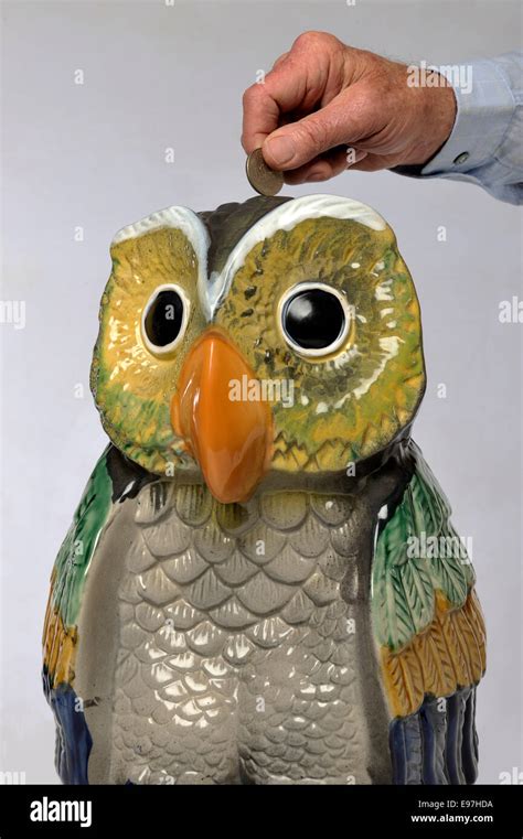 Putting Money Into Owl Shaped Money Box Stock Photo Alamy