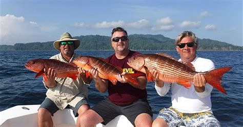 Excursión De Un Día De Pesca Deportiva Chiriquí Panama Tiqy