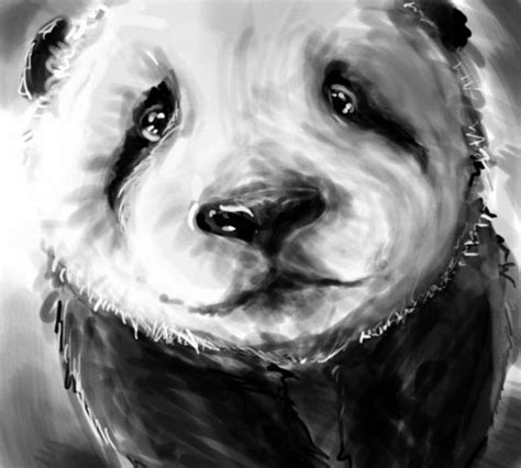 Great Drawings With Pandas 25 Pics Panda Art Bear Art Panda Drawing