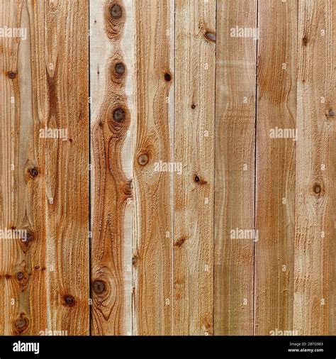 Natural Cedar Wood Texture For Background Purposes Stock Photo Alamy