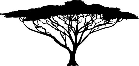 African Trees Silhouette Drawing Tree Silhouette Png Download 4726