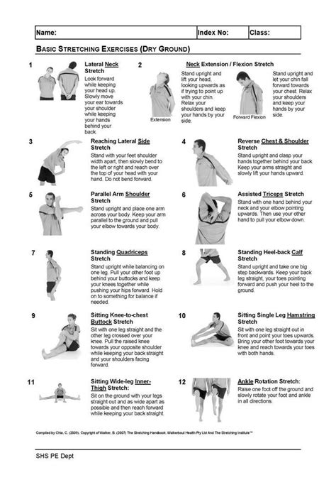 Printable Stretching Exercises For Seniors