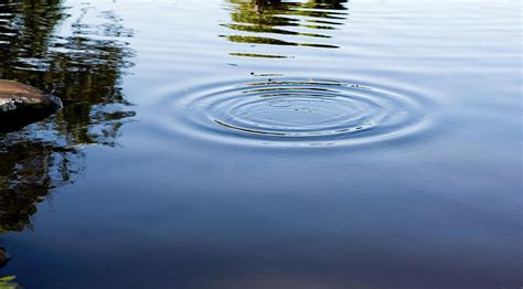 Ripples On A Pond Photograph By Rapideye Pixels