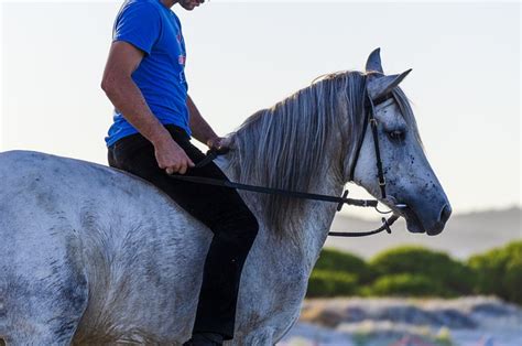 15 Horseback Riding Exercises You Can Do At The Walk Cornerstone