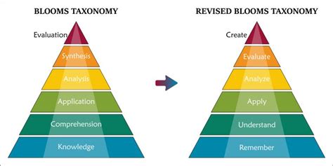 Blooms Taxonomy Of Learning Domain Levels Explained