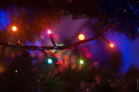 Happy New Year 2 Dec 2014 Andrei Shevelev Flickr