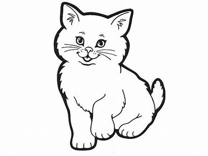 Cat Drawing Clipart Face Getdrawings