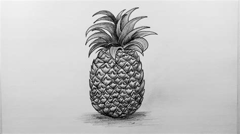 How To Draw Pineapple Easy And Step By Step Or Shading For Beginners
