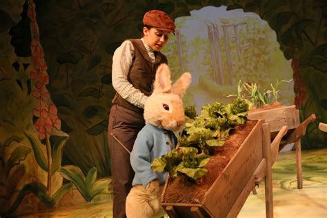 Where Is Peter Rabbit Old Laundry Theatre
