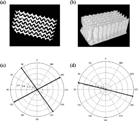 An for the development of a functionally and mechanically appropriate bone structure. ( a ) One cross-section of 3D zigzag bone phantom. ( b ) 3D zigzag bone... | Download Scientific ...