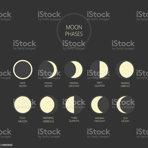 Ilustrasi Vektor Fase Bulan Siklus Fase Bulan Bulan Baru Ikon Bulan
