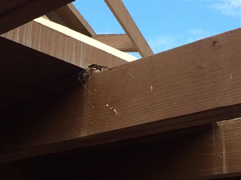 Carpentry Fix Sagging Beam Situation Home Improvement Stack Exchange