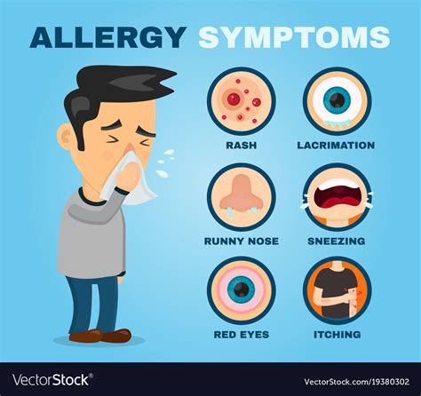 Allergy Symptoms Problem Infographic Royalty Free Vector