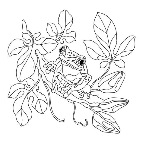 Beautiful Frog Frogs Coloring Pages For Adults Online And Printable