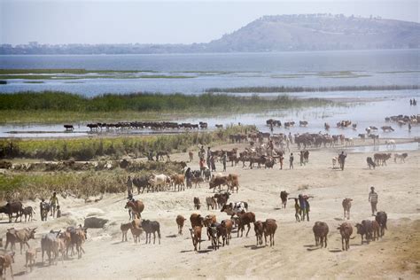 Loss of biodiversity and the uncertainties associated with climate change. Adaptation Fund Board Accredits United Nations Food and ...