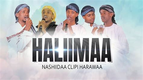 Naajii Abaadir Haliima Video Manzuuma Haarawa 2022 New Ethiopian