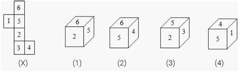 Dice Reasoning Practice Questions With Answers Hitbullseye