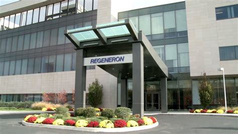Is a biotechnology company, which engages in the discovery, invention, development. Regeneron kicks off prevention trial for COVID-19 antibody ...