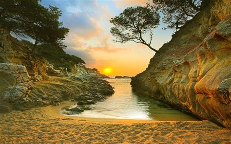 Nature Landscape Sunrise Beach Sand Trees Rock Coast Sea Wallpaper And