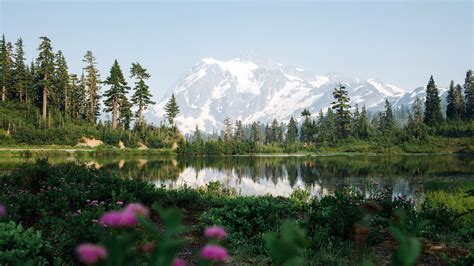 Forest Lake Mt Baker Washington Usa Bing 5k Preview