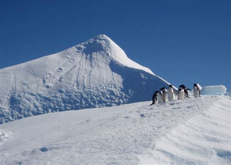 Antarctic Peninsula Fly And Cruise Audley Travel