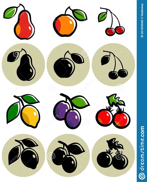 Set Of Stylized Fruits Stock Vector Illustration Of Citrus 201653640