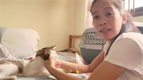 How To Massage A Cat Effectively A Day In My Life With Cats Youtube