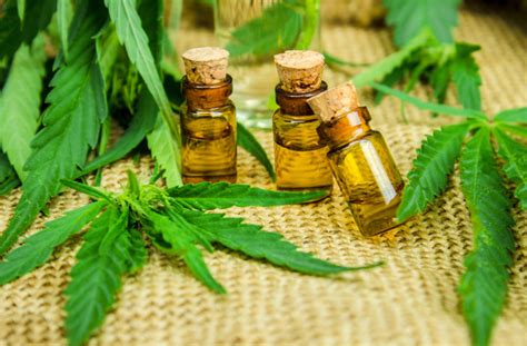 Maybe you would like to learn more about one of these? How CBD Oil for Erectile Dysfunction Can Help Boost Your ...