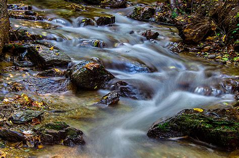 Wallpaper Longexposure Autumn Green Water Leaves Yellow Canon