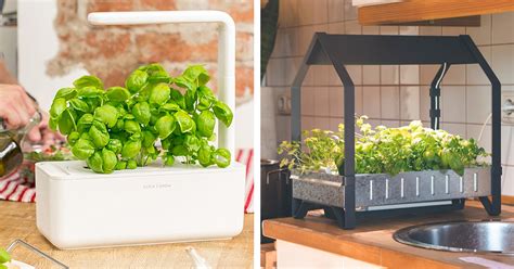 10 Hi Tech Indoor Gardens To Help You Grow Your Own Food