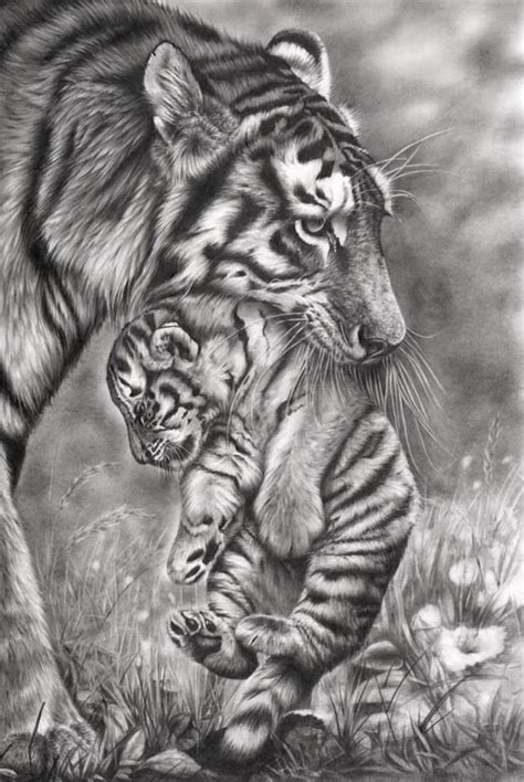 Pin By Michelle Smith On Paints Pencil Drawings Of Animals Realistic
