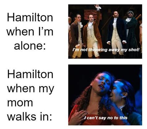 Funny Hamilton Memes And Jokes