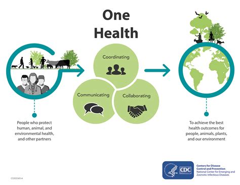 One Health A Multi Dimensional Approach To Health Public Health Notes