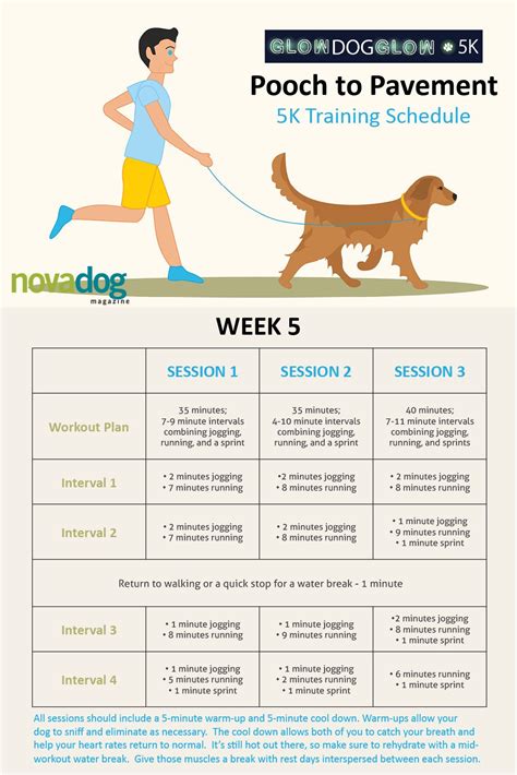 2 Week Training For Dogs Wingomezquita 99