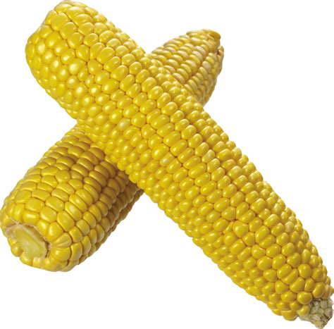 Indian Corn Png