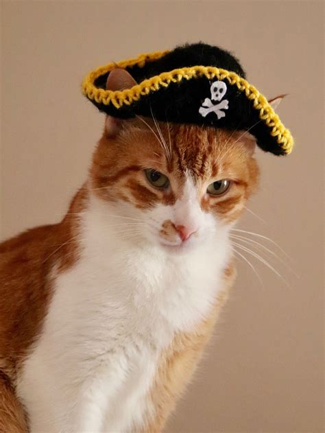 Pirate Hat For Cats Crochet Pattern Pawsomecrochet