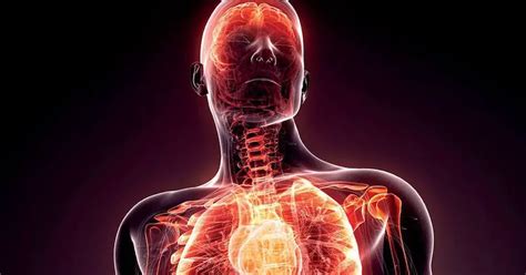 Jak Wyeliminować Ukryte Przewlekłe Stany Zapalne W Organizmie Które Mogą Powodować Różne Choroby