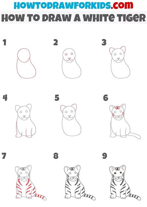 How To Draw A White Tiger Easy Tiger Drawing Tiger Drawing Tiger