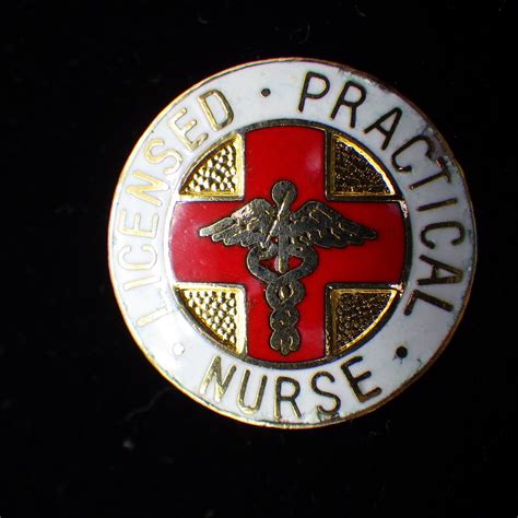 Licensed Practical Nurse Lpn Vintage 1970s All Uniform Etsy Vintage
